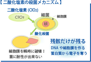 �E�ۃ��J�j�Y��