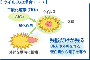 �E�ۃ��J�j�Y���@�E�C���X